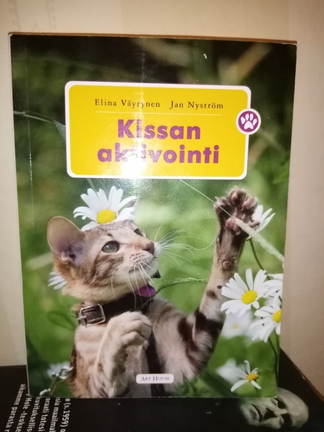 VÄYRYNEN :  KISSAN AKTIVOINTI