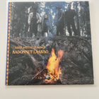 Leevi and the Leavings - Kadonnut Laakso - pikkukuva 1