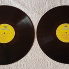 Kim Borg – Portrait Of The Singer - Laulajan Muotokuva 2xLP - pikkukuva 4