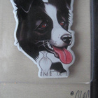 BORDERCOLLIE KOIRA JÄÄKAAPPIMAGNEETTI - pikkukuva 1