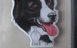 BORDERCOLLIE KOIRA JÄÄKAAPPIMAGNEETTI