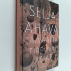 Selja Ahava : Taivaalta tippuvat asiat - pikkukuva 1