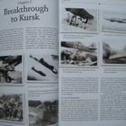 Air War Over Kursk - pikkukuva 3