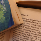 L.M. Montgomery - Vanhan kartanon Pat (pokkari) - pikkukuva 2