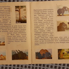 Panda Viidakkokirja keräilykansio 1966 KAIKKI KUVAT! - pikkukuva 4