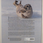 Juha Taskinen : Jää hyvin, saimaannorppa - pikkukuva 2