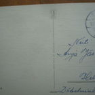Keltaruusut, ARTKO 262/10 - pikkukuva 2