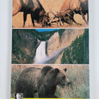 Alan W. Cundall ym. : Hamilton's Guide : Yellowstone Nati... - pikkukuva 2
