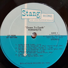The Rimshots – Down To Earth LP US 1976 - pikkukuva 2