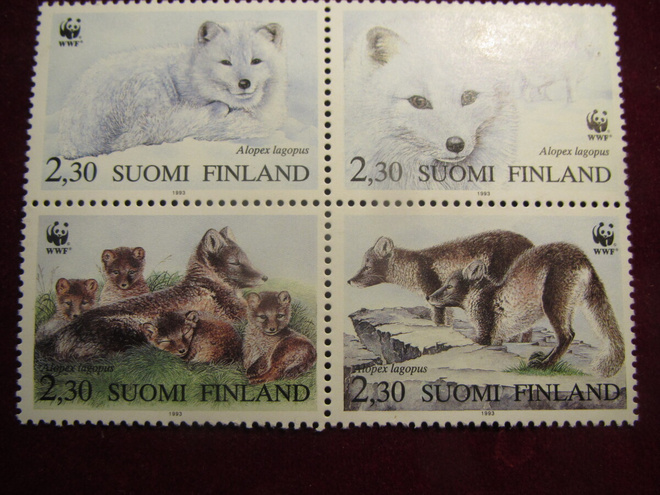 Naaleja nelilö. Suomi WWF. 1993
