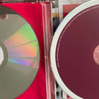 Disco Discharged: Disco Ladies 2cd - pikkukuva 4