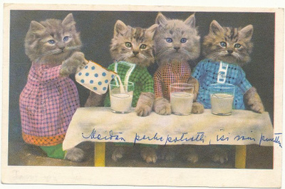 KISSA-kortti