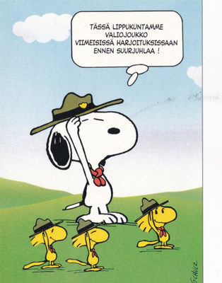 Partio, Ressu ja Tipit, Partiokirja Oy  b422