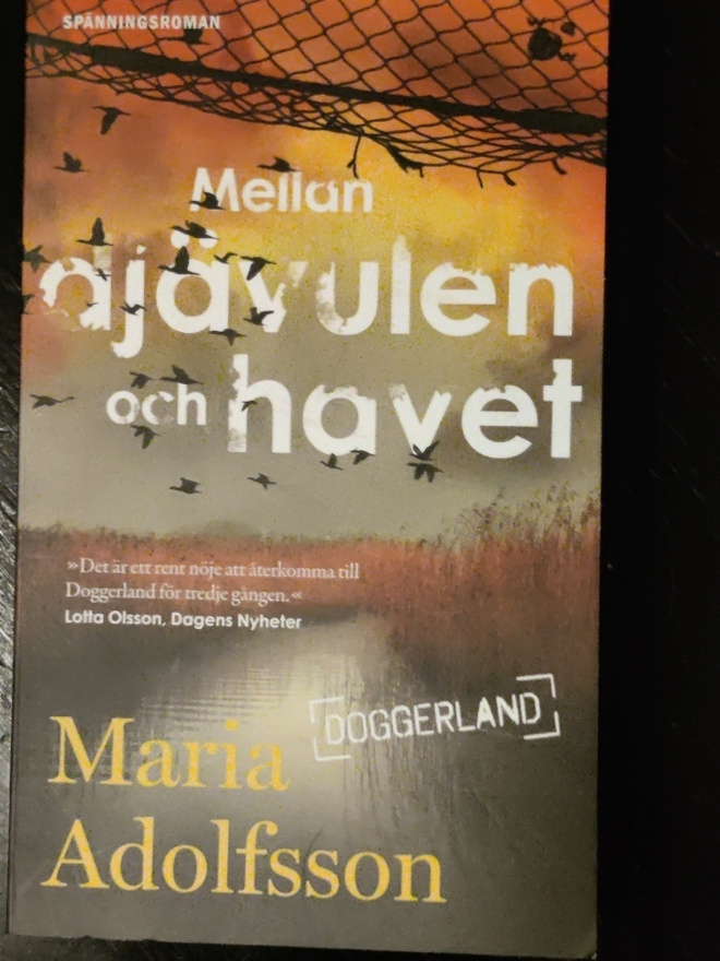 Maria Adolfsson : Mellan djävulen och havet