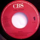 CARL PEYER :: SANDY :: VINYYLI 7" 1990 - pikkukuva 3