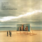 TEENAGE FANCLUB - BEST - pikkukuva 1