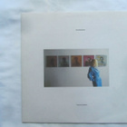The Distractions: Nobody´s Perfect  LP  1980 - pikkukuva 1