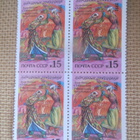 CCCP 1991: kansanjuhlia - pikkukuva 5