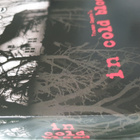 CAPOTE / IN COLD BLOOD BOKSI DVD - pikkukuva 5