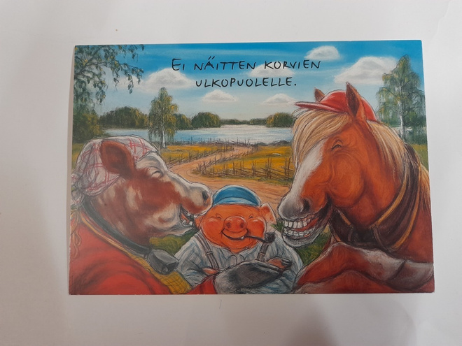 Peltoniemi: Ei näitten korvien ulkopuolelle