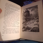 Jules Verne : Kahden vuoden loma- aika - pikkukuva 4