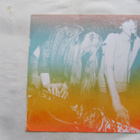 Blue Sabbath Black Fiji: LP 2010 Experimental - pikkukuva 1