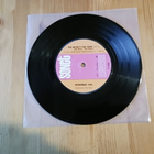 Remember This – The Music's The Same 7" 1976 Rock'n'Roll - pikkukuva 1