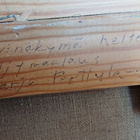 Maija Perttula Öljyvärimaalaus 1992 - pikkukuva 3