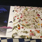 Prince and The Revolution Purple Rain 1984 Ger upea lp Ex+ - pikkukuva 2