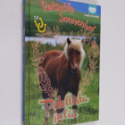 Andrea Wandel : Petollista peliä - pikkukuva 1