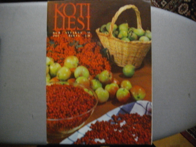 Kotiliesi Nro 18/1965 (15.3)