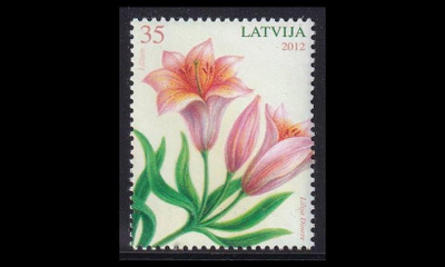 Latvia 828 ** Kukkia lilja (2012)