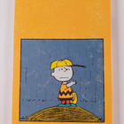 Charles M. Schulz : Koeta kestää, Jaska Jokunen - pikkukuva 2