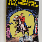 Gianluigi Bonelli : Valkoisen biisonin pojat - pikkukuva 1