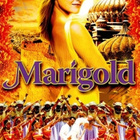 Marigold	(19 836)	k	-FI-	DVD	suomik.			2007	romantic - pikkukuva 2