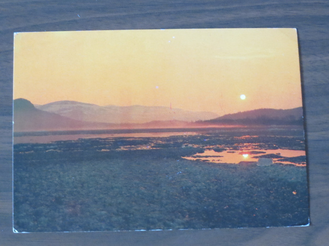 Yrjö Metsälä: Keskiyön aurinko 1970-luku