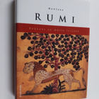 Dzalaladdin Rumi : Rakkaus on musta leijona - pikkukuva 1