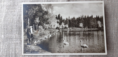 Vanha Hämeenlinna, Aulanko kortti, kulkenut v. 1936 ?