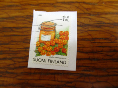 suomi pm 1lk 2005 lakka