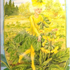 kortti **/° Peikko tai keiju - erilaisia - pikkukuva 2