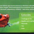 LIFE (BBC EARTH, 4 DVD)	(32 545)	-FI-	DVD	(4)		4 dvd=9h 49mi - pikkukuva 2
