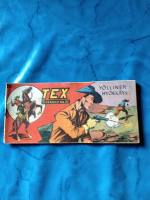 tex 3vsk 24