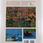 Falcon Press ym. : Maine on My Mind - pikkukuva 2