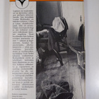 Louise Ricklander : Lapseni on murrosiässä - pikkukuva 2