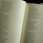 Goethe Faust I & Faust II (uusi suomennos) - pikkukuva 5