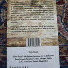 Mitä Finnegans Wake tarkoittaa? - pikkukuva 2
