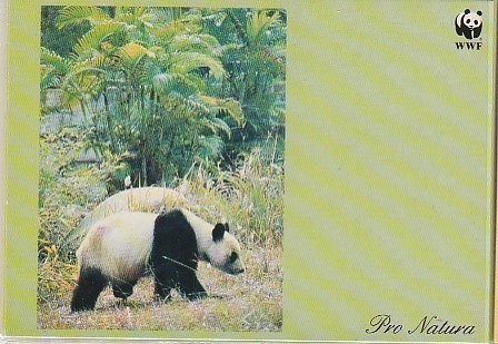 POSTIKORTTI  Maailman Luonnon Säätiö, Panda-tunnus WWF