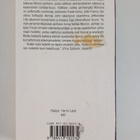 John Irving : Kaikki isäni hotellit - pikkukuva 2