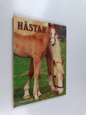 Jane Burton : Hästar