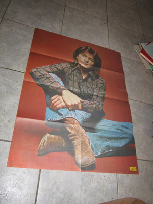 VANHA INTRO JULISTE - DAVID CASSIDY noin 80 x 51 cm